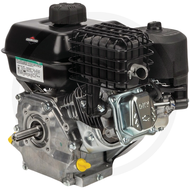 Briggs & Stratton Motor (passend für Kwern Greenbuster Pro III)