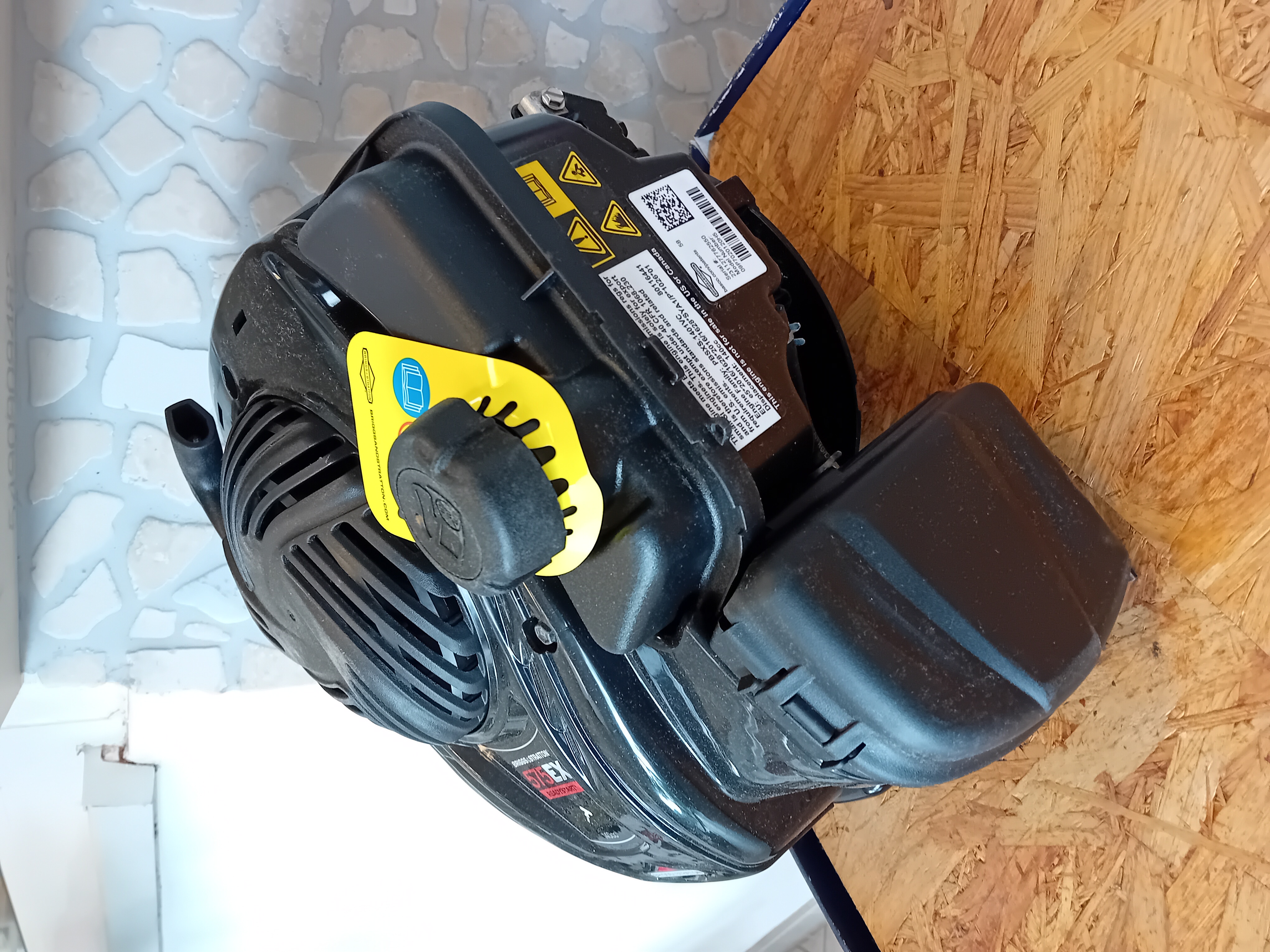 Briggs & Stratton Motor (passend für Home 550 & Pro 66)