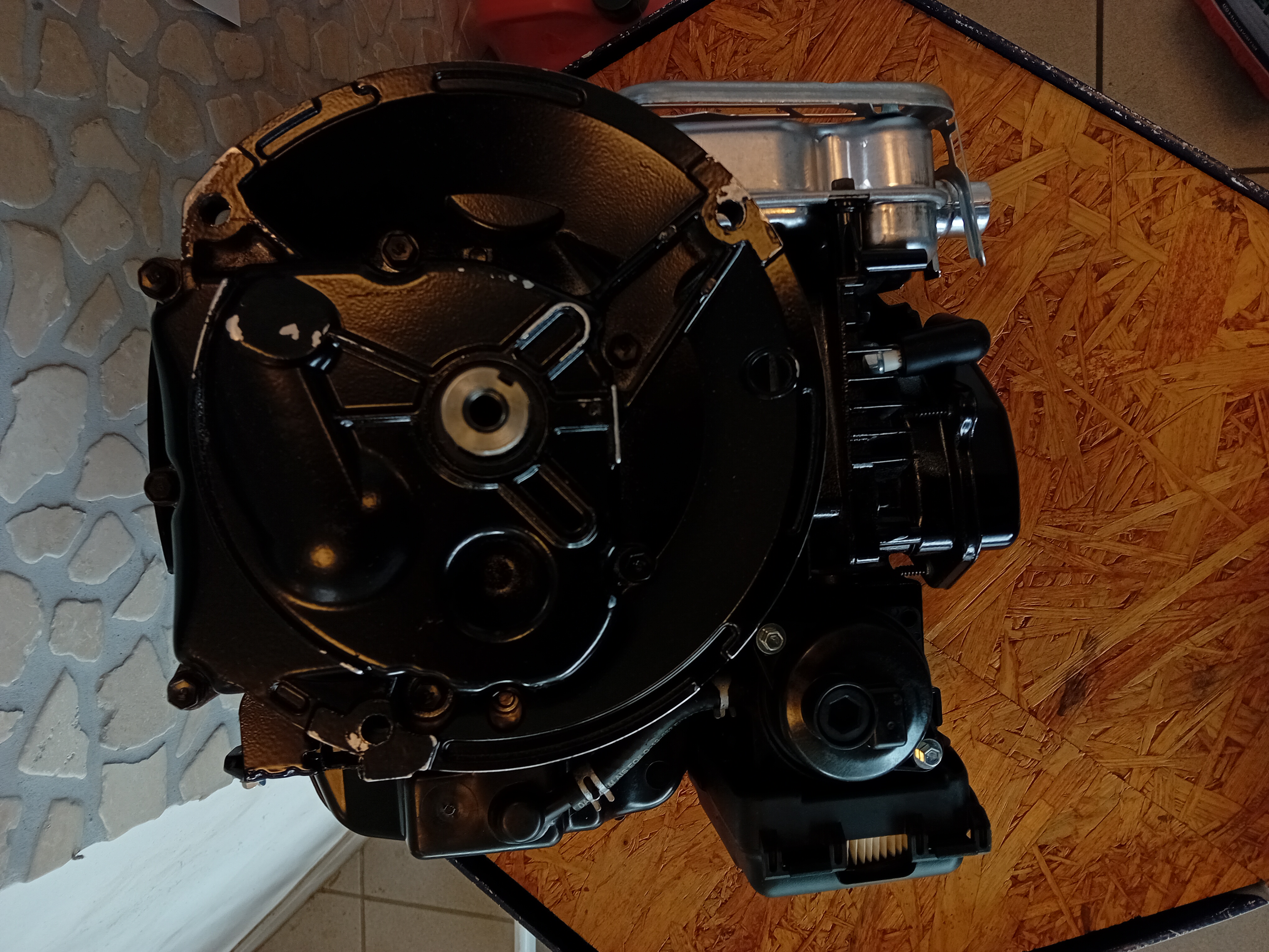 Briggs & Stratton Motor (passend für Home 550 & Pro 66)
